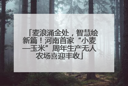 麦浪涌金处，智慧绘新篇！河南首家“小麦—玉米”周年生产无人农场喜迎丰收