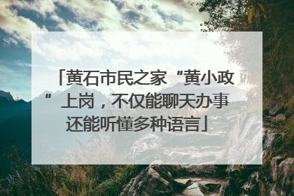 黄石市民之家“黄小政”上岗，不仅能聊天办事还能听懂多种语言