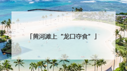 黄河滩上“龙口夺食”