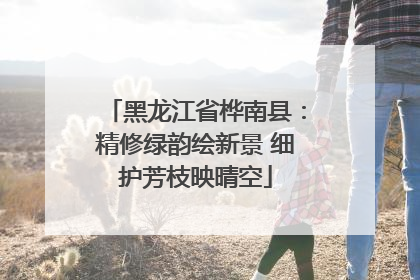 黑龙江省桦南县：精修绿韵绘新景 细护芳枝映晴空
