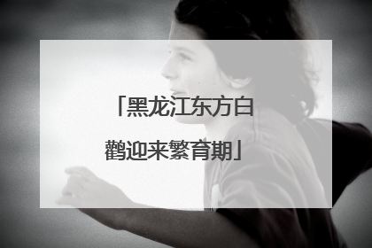 黑龙江东方白鹳迎来繁育期