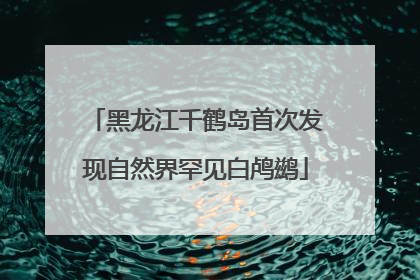 黑龙江千鹤岛首次发现自然界罕见白鸬鹚