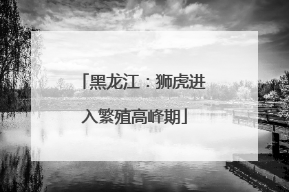黑龙江：狮虎进入繁殖高峰期