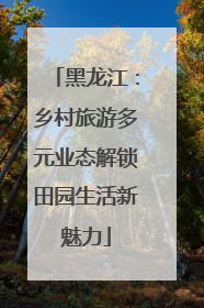 黑龙江：乡村旅游多元业态解锁田园生活新魅力