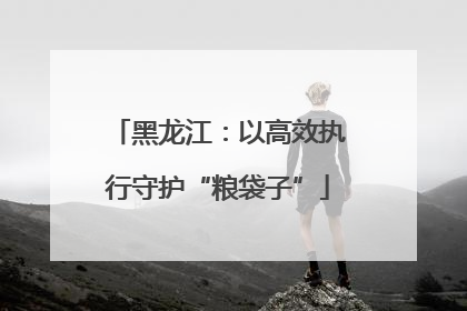 黑龙江：以高效执行守护“粮袋子”