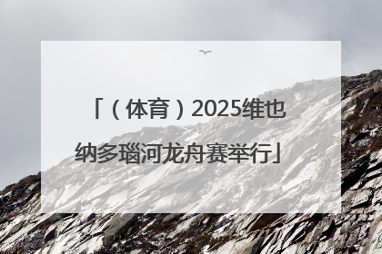 （体育）2025维也纳多瑙河龙舟赛举行