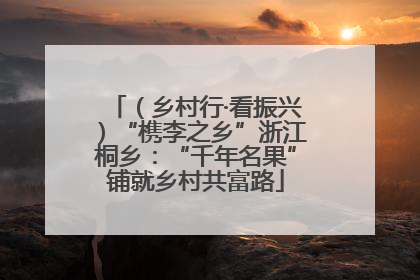 （乡村行·看振兴）“槜李之乡”浙江桐乡：“千年名果”铺就乡村共富路