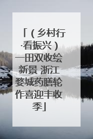 （乡村行·看振兴）一田双收绘新景 浙江婺城药膳轮作喜迎丰收季