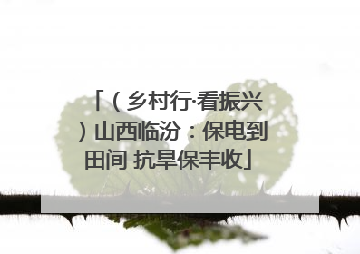（乡村行·看振兴）山西临汾：保电到田间 抗旱保丰收