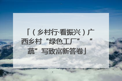 （乡村行·看振兴）广西乡村“绿色工厂” “蔬”写致富新答卷
