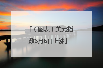（图表）美元指数6月6日上涨