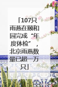 107只雨燕在颐和园完成“年度体检”，北京雨燕数量已超一万只