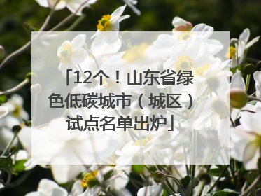 12个！山东省绿色低碳城市（城区）试点名单出炉