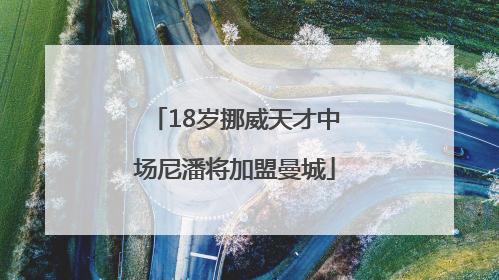 18岁挪威天才中场尼潘将加盟曼城