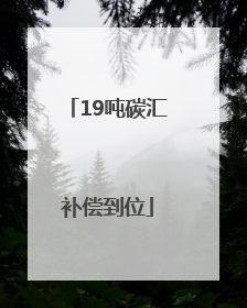 19吨碳汇补偿到位