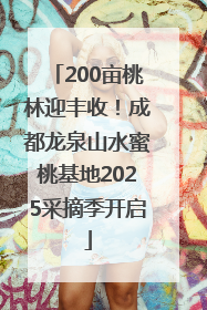 200亩桃林迎丰收！成都龙泉山水蜜桃基地2025采摘季开启