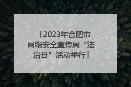 2023年合肥市网络安全宣传周“法治日”活动举行