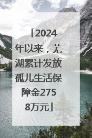 2024年以来，芜湖累计发放孤儿生活保障金2758万元