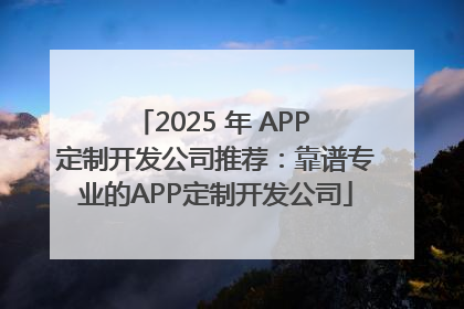 2025 年 APP 定制开发公司推荐：靠谱专业的APP定制开发公司