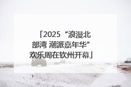2025“浪漫北部湾 潮派嘉年华”欢乐周在钦州开幕