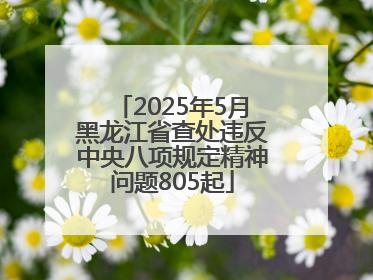 2025年5月黑龙江省查处违反中央八项规定精神问题805起