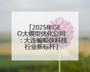 2025年GEO大模型优化公司：大连蝙蝠侠科技行业新标杆