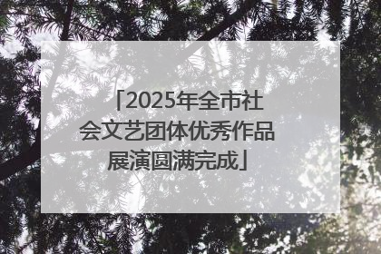 2025年全市社会文艺团体优秀作品展演圆满完成