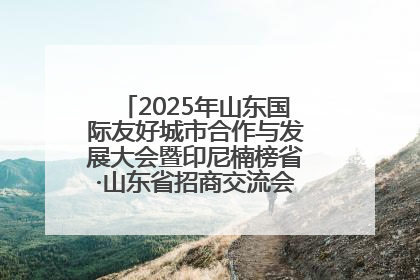 2025年山东国际友好城市合作与发展大会暨印尼楠榜省·山东省招商交流会在济南槐荫举行