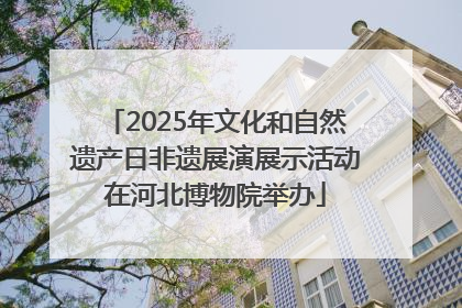 2025年文化和自然遗产日非遗展演展示活动在河北博物院举办