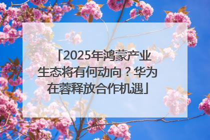 2025年鸿蒙产业生态将有何动向？华为在蓉释放合作机遇