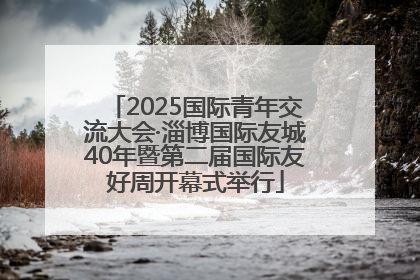 2025国际青年交流大会·淄博国际友城40年暨第二届国际友好周开幕式举行