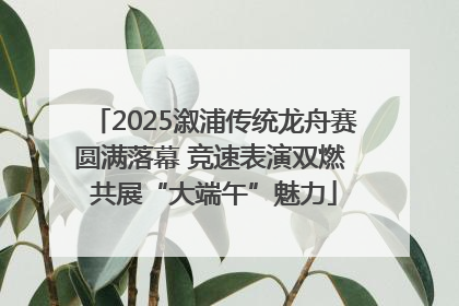 2025溆浦传统龙舟赛圆满落幕 竞速表演双燃 共展“大端午”魅力