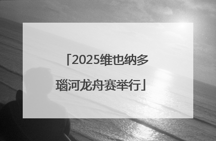 2025维也纳多瑙河龙舟赛举行