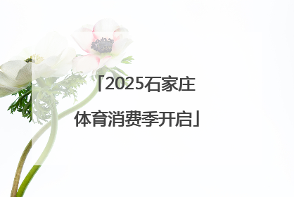 2025石家庄体育消费季开启