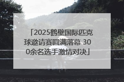 2025鹤壁国际匹克球邀请赛圆满落幕 300余名选手激情对决
