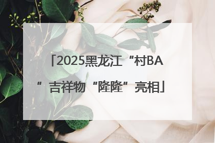 2025黑龙江“村BA”吉祥物“隆隆”亮相