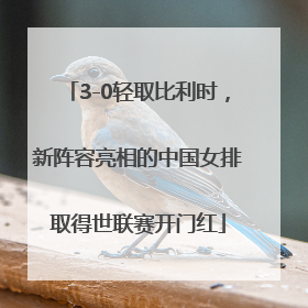 3-0轻取比利时，新阵容亮相的中国女排取得世联赛开门红