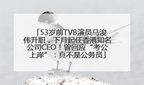 53岁前TVB演员马浚伟升职，下月起任香港知名公司CEO！曾回应“考公上岸”：真不是公务员