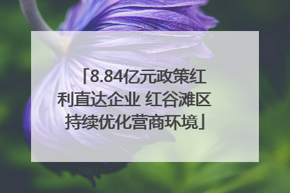 8.84亿元政策红利直达企业 红谷滩区持续优化营商环境
