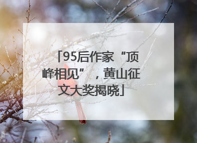 95后作家“顶峰相见”，黄山征文大奖揭晓