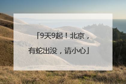 9天9起！北京，有蛇出没，请小心