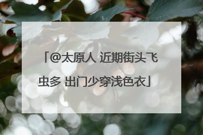 @太原人 近期街头飞虫多 出门少穿浅色衣