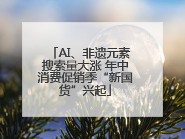 AI、非遗元素搜索量大涨 年中消费促销季“新国货”兴起
