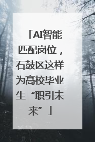 AI智能匹配岗位，石鼓区这样为高校毕业生“职引未来”