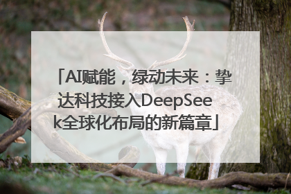 AI赋能，绿动未来：挚达科技接入DeepSeek全球化布局的新篇章