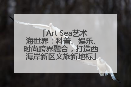 Art Sea艺术海世界：科普、娱乐、时尚跨界融合，打造西海岸新区文旅新地标
