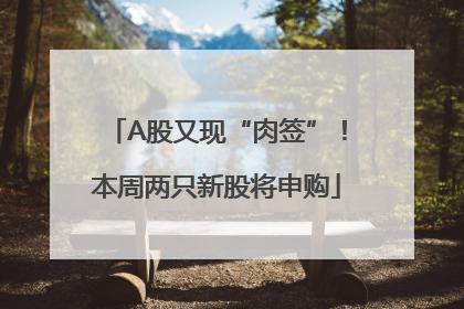 A股又现“肉签”！本周两只新股将申购