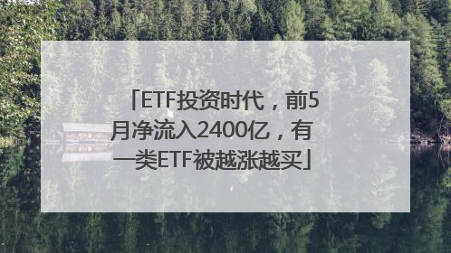 ETF投资时代，前5月净流入2400亿，有一类ETF被越涨越买
