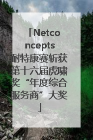 Netconcepts耐特康赛斩获第十六届虎啸奖“年度综合服务商”大奖