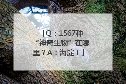 Q：1567种“神奇生物”在哪里？A：海淀！